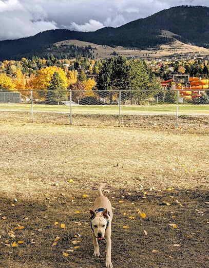 Playfair Park Pup Pen