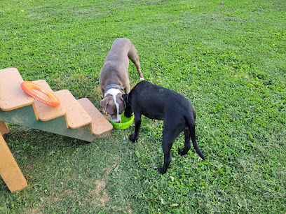 Albemarle Parks & Recreation Dog Park