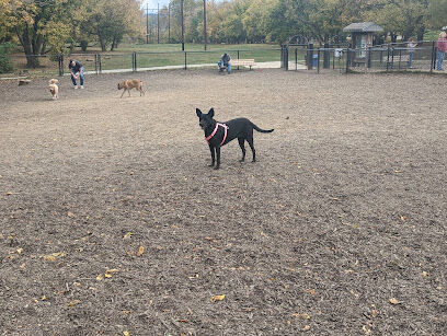 French Broad River Dog Park