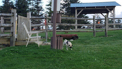 Beech Mountain Dog Park
