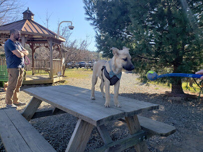 Humane Society Dog park