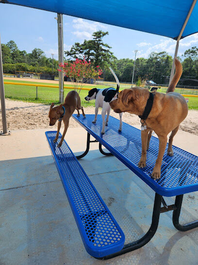 Dog Park