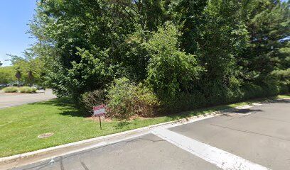 Berkshire Manor Dog Park