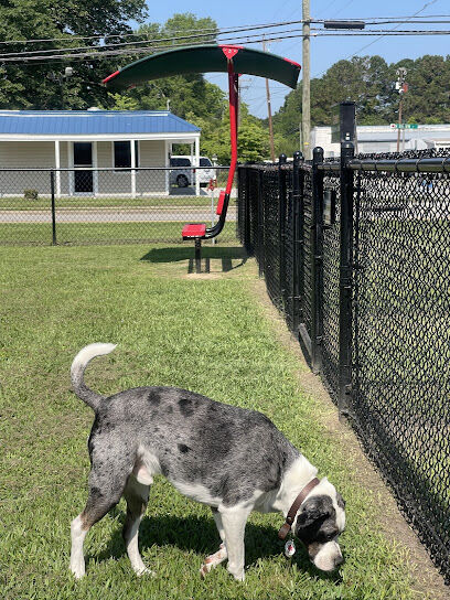 Dog Park