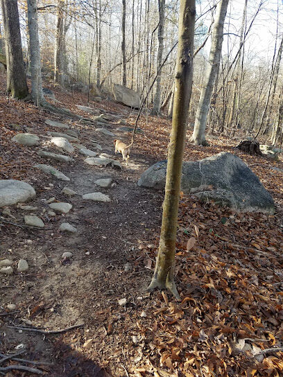 Briar Chapel Dog Park