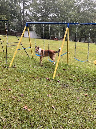 Honeybee Private Dog Park
