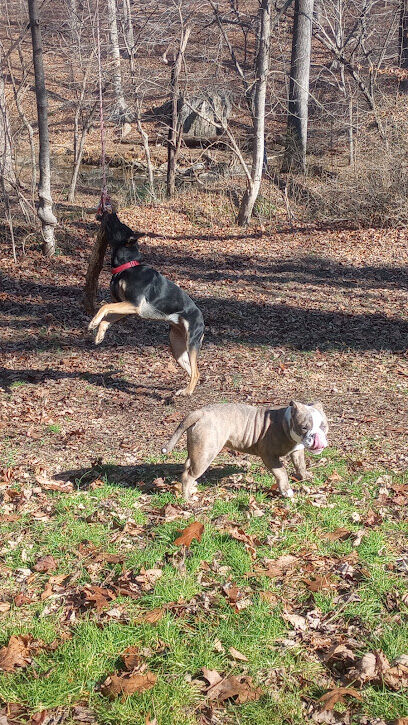Morgan Creek K-9 Park