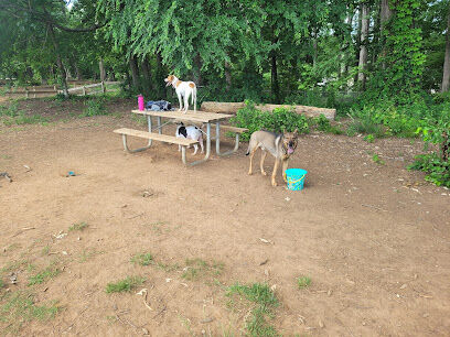 Dog Park at Clarks Creek Community Park