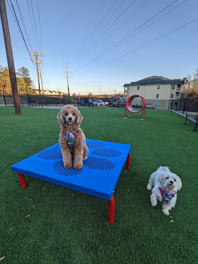 Latitude Mallard Creek Dog park