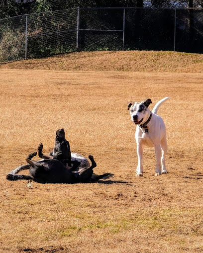 McAlpine Creek Dog Park