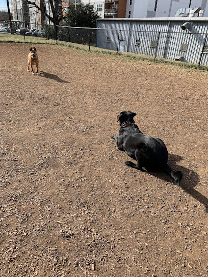 Plaza Midwood Neighborhood Association Dog Park