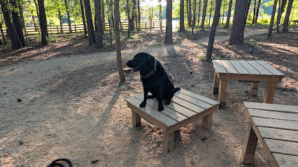 Whitewater Center Off Leash