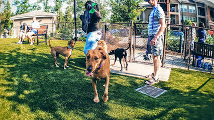 Artisan at Brightleaf Dog Park (Private)