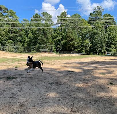 Piney Wood Dog Park