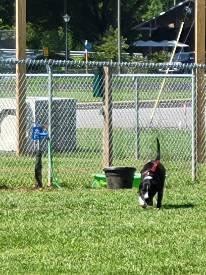 Friends of Elkin Dog Park