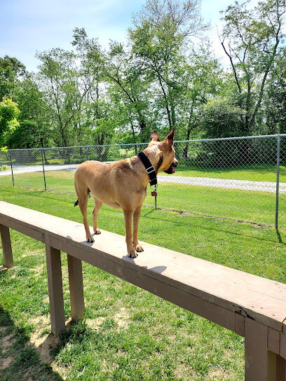 Fletcher Parks & Recreation Dog Park