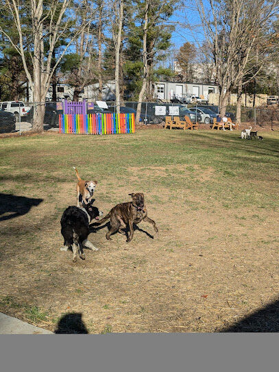 WagWorld Pub & Off Leash Resort