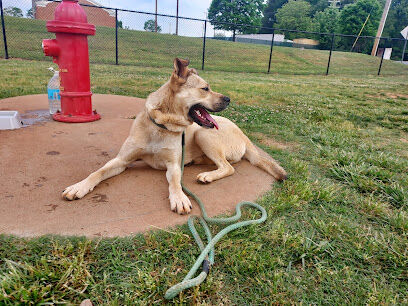 Trails to Tails Dog Park