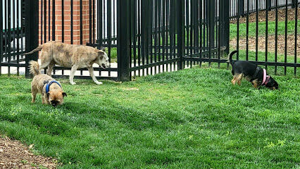 Bradley Station Dog Park