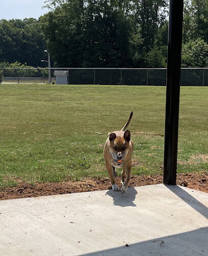 Northeast Dog Park