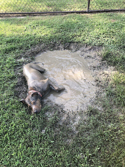Base Dog Park