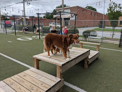 Doggos Dog Park & Pub
