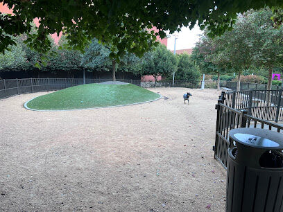 Downtown Greensboro Animal Hospital Dog Park