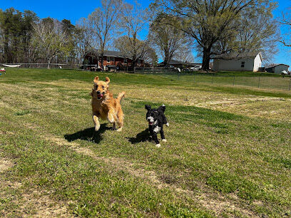 Private Dog Playground