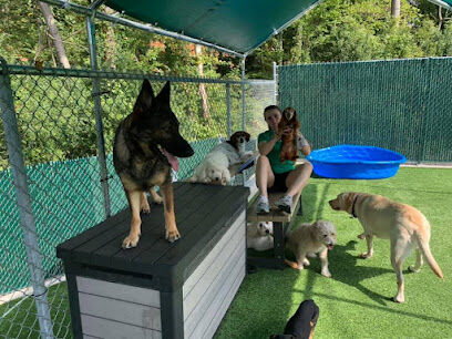 Northwood Animal Hospital