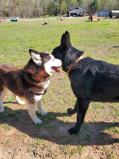 Redwood Dog Park
