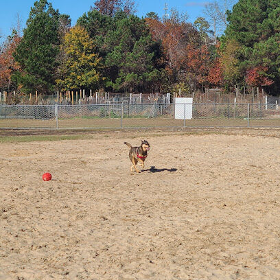 Kitty Hawk Dog Park