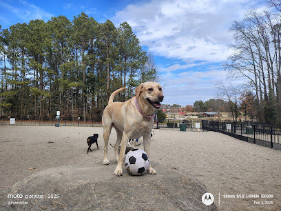 Ashley Wilder Dog Park