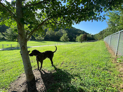 Dog Park area Lansing Creeper Trail Park