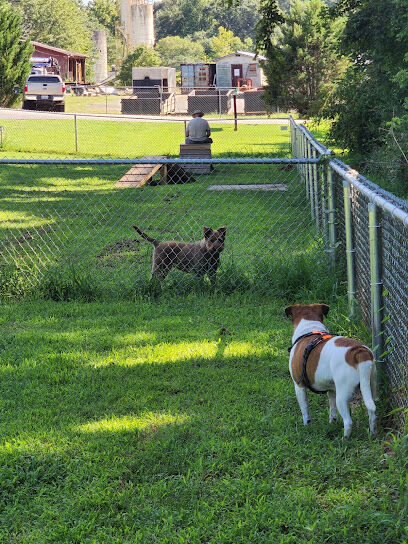 Motz Avenue Dog Park
