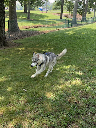 Locust Dog Park