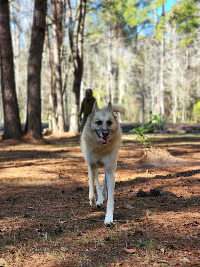 Dragonfly Dog Park & Nature Trails (Members Only)