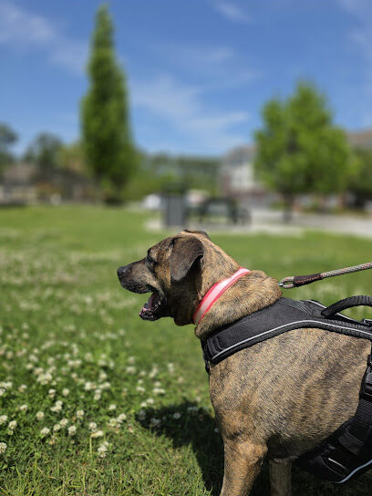 Liberty Pointe Dog Park