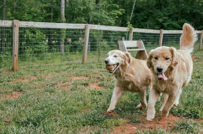 Emberglow Outdoor Resort Dog Park