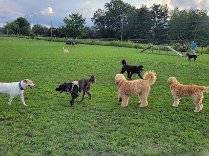 Mills River Dog Park