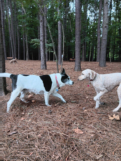 Morrisville Dog Park