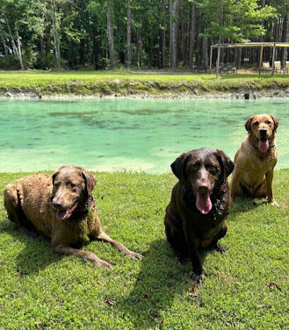 Paw’s Moyock 18 Acre Dog Park