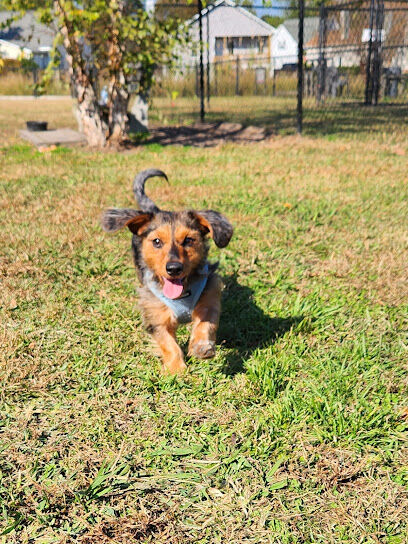River Bend Dog Park