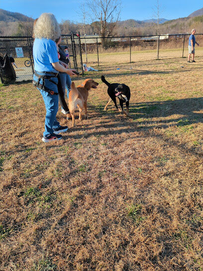 Old Fort Dog Park