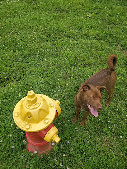 Jaycee Dog Park