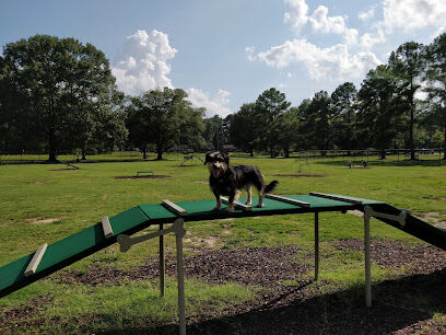 Best Friend's Dog Park