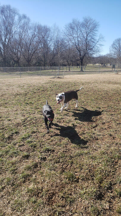 Pitner Dog Park
