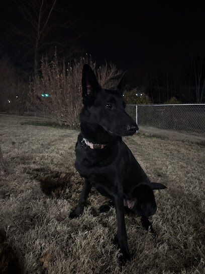 Dog Park at Love's Travel Stops
