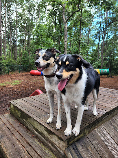 Surf City Bark Park