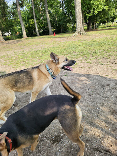 Dog Park