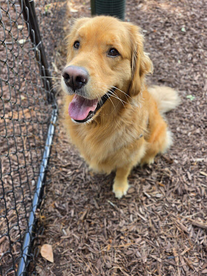 Wendell Paws Dog Park